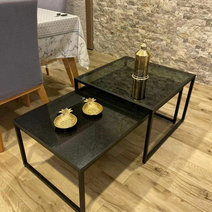 Table Basse DUO PALMA